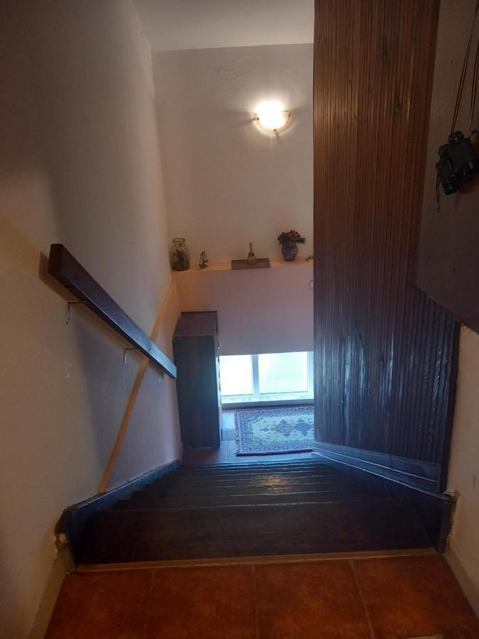 Cosy Rooftop Studio With Balcony Belgrad Dış mekan fotoğraf
