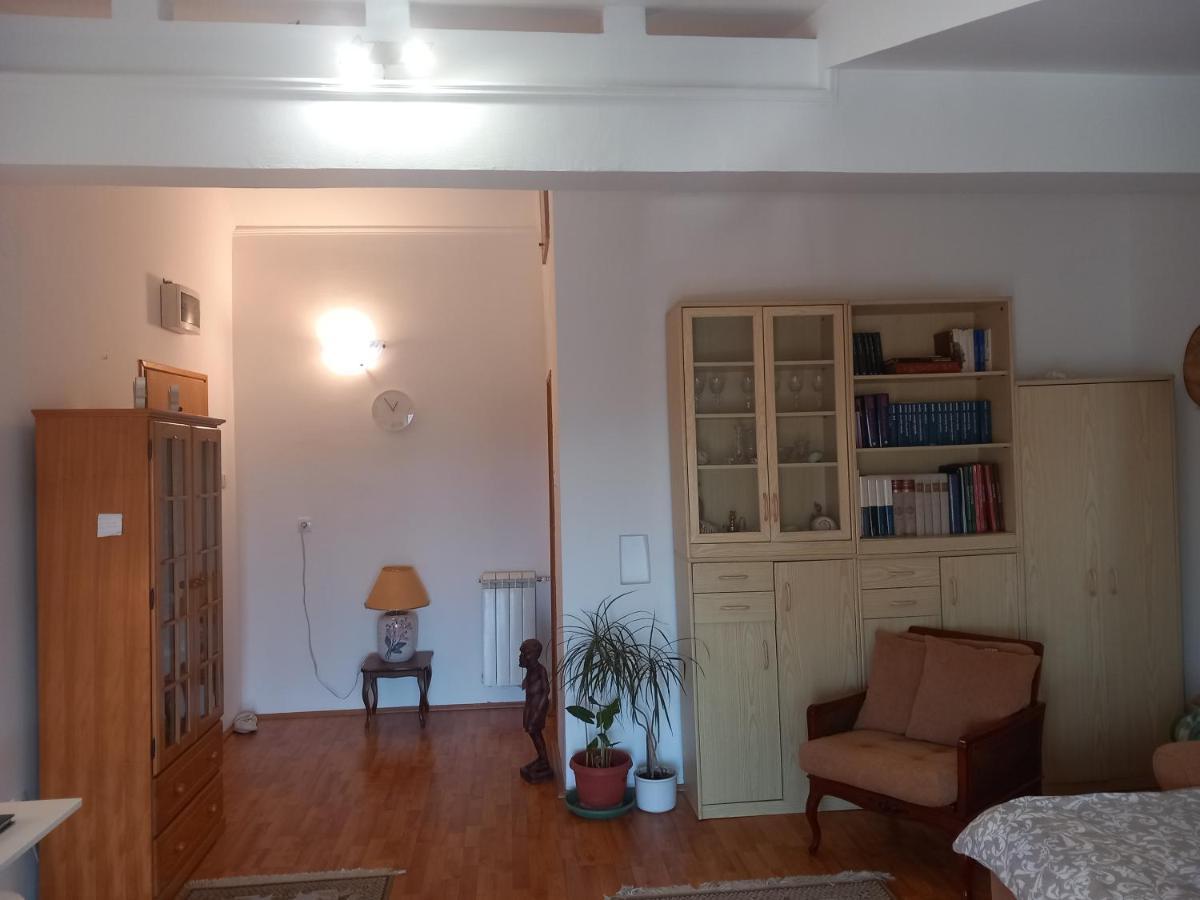 Cosy Rooftop Studio With Balcony Belgrad Dış mekan fotoğraf